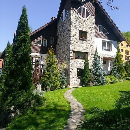 Pension Casa Contelui Rîşnov المظهر الخارجي الصورة