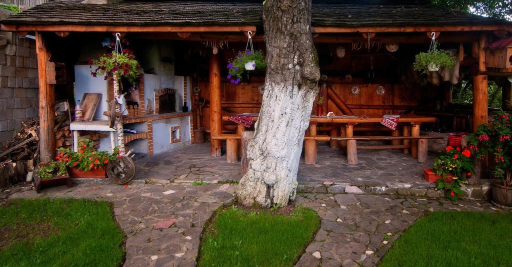 Pension Casa Contelui Rîşnov المظهر الخارجي الصورة