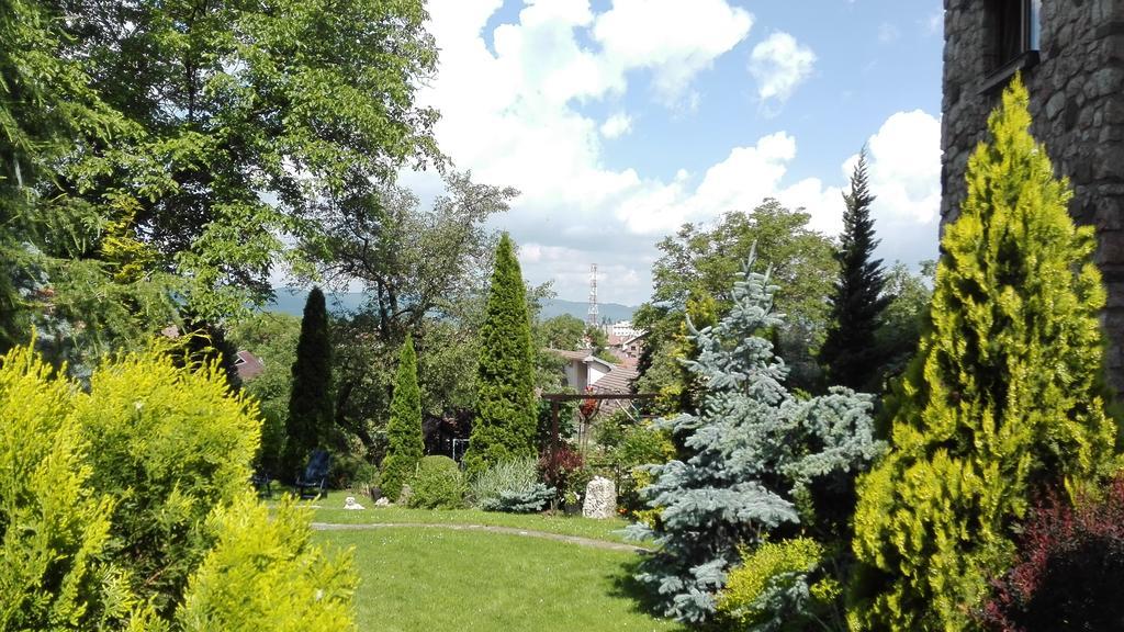 Pension Casa Contelui Rîşnov المظهر الخارجي الصورة