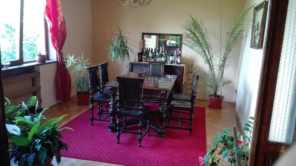 Pension Casa Contelui Rîşnov المظهر الخارجي الصورة