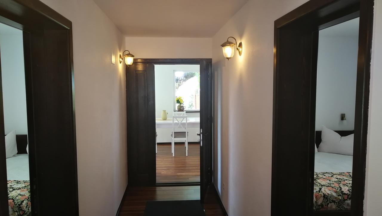 Pension Casa Contelui Rîşnov المظهر الخارجي الصورة