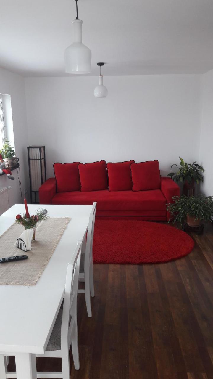 Pension Casa Contelui Rîşnov المظهر الخارجي الصورة