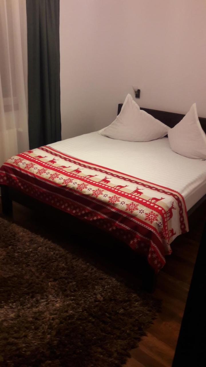 Pension Casa Contelui Rîşnov المظهر الخارجي الصورة